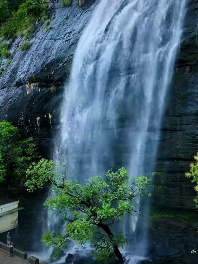 Attukadu Waterfall (8)